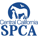 
      Central California SPCA
    
