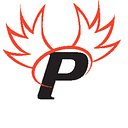 
      Paragon Cyber Solutions
    