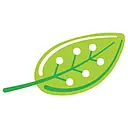 
      The Green Air Group LLC
    